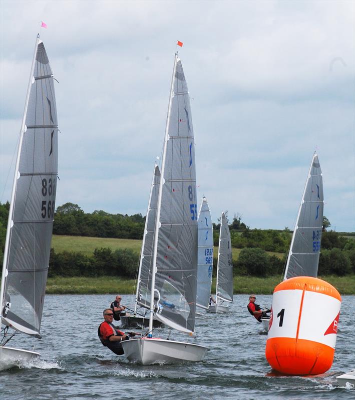 Rooster Solo Midlands Open at Northampton photo copyright Sue Warne taken at Northampton Sailing Club and featuring the Solo class