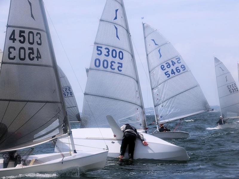 Strong winds could force the postponement of the Noble Marine Solo Winter Championship photo copyright Will Loy taken at Draycote Water Sailing Club and featuring the Solo class