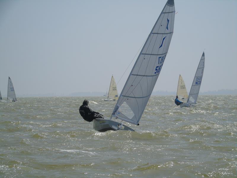 Clare van der Does doing it for the girls on day 2 of the Solo Nation's Cup photo copyright Will Loy taken at Regatta Center Medemblik and featuring the Solo class