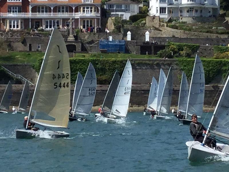 Salcombe Yacht Club Sailing Club Series Race 4 photo copyright Rob Hyde taken at Salcombe Yacht Club and featuring the Solo class