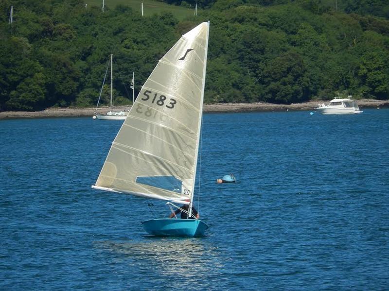 Stunning scenery for the Solos at Dittisham photo copyright Margaret Mackley taken at Dittisham Sailing Club and featuring the Solo class