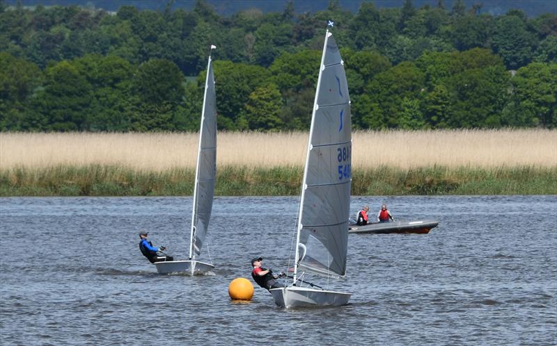 HD Sails Scottish Solo Travellers at Newburgh photo copyright Tony Green taken at Newburgh Sailing Club and featuring the Solo class