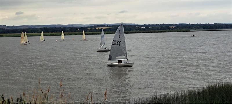 HD Sails Scottish Solo Travellers at Newburgh photo copyright Ross Watson, Carol Marshall & Patrick Burns  taken at Newburgh Sailing Club and featuring the Solo class