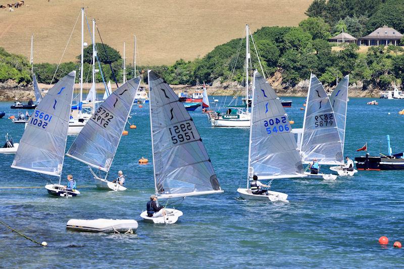 Salcombe Yacht Club Summer Series Race 3 photo copyright Lucy Burn taken at Salcombe Yacht Club and featuring the Solo class