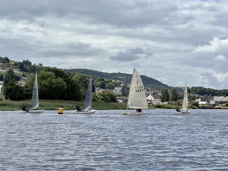 HD Sails Scottish Solo Travellers at Newburgh photo copyright Linda Harold taken at Newburgh Sailing Club and featuring the Solo class