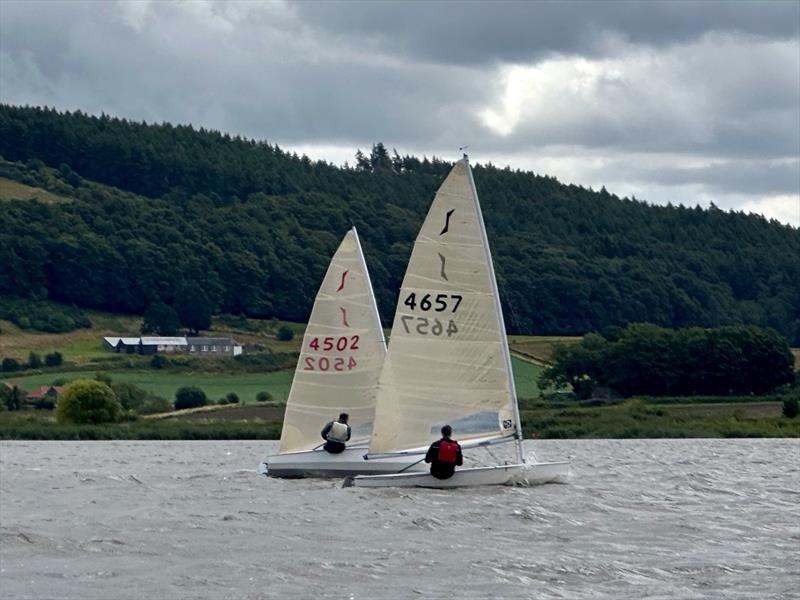 HD Sails Scottish Solo Travellers at Newburgh photo copyright Linda Harold taken at Newburgh Sailing Club and featuring the Solo class