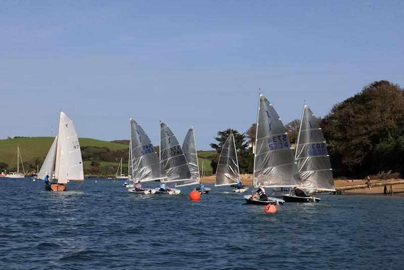 Salcombe Yacht Club Autumn Series Race 6 photo copyright Lucy Burn taken at Salcombe Yacht Club and featuring the Solo class