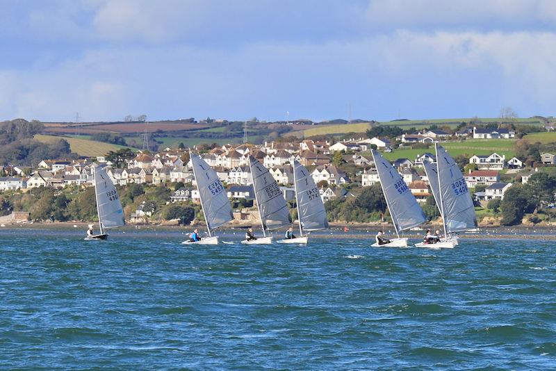 Salcombe Yacht Club Autumn Series Race 7 photo copyright Lucy Burn taken at Salcombe Yacht Club and featuring the Solo class