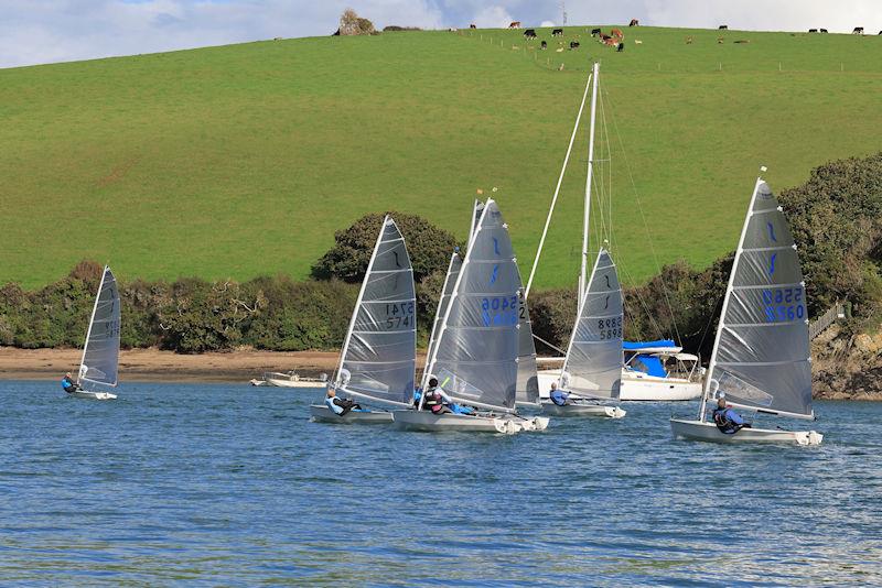 Salcombe Yacht Club Autumn Series Race 7 photo copyright Lucy Burn taken at Salcombe Yacht Club and featuring the Solo class