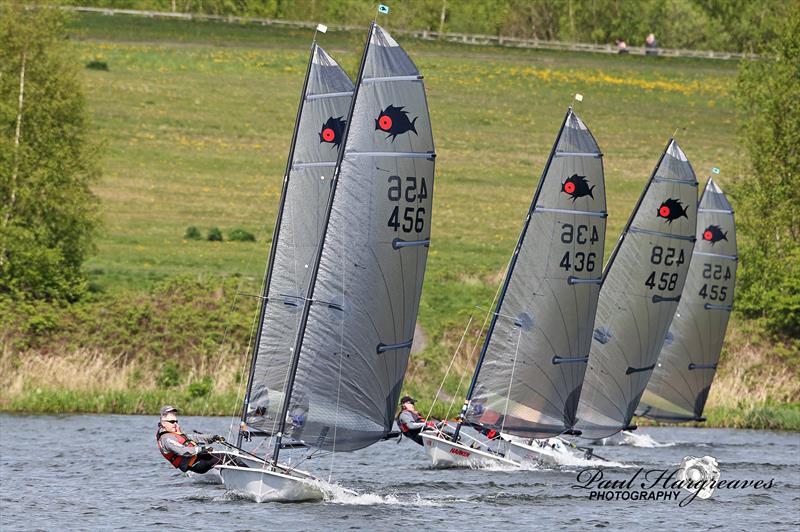 Solutions at Leigh & Lowton photo copyright Paul Hargreaves taken at Leigh & Lowton Sailing Club and featuring the Solution class