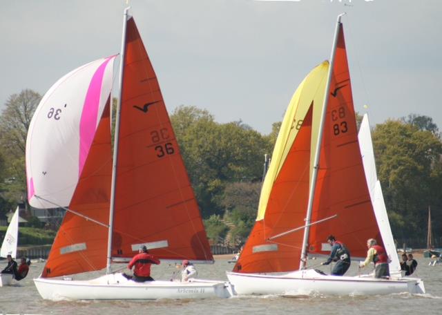 Andy Moore in Squib 'Artemis' (36) gave David White a run for his money at the Waldringfield Easter Egg photo copyright Alexis Smith taken at Waldringfield Sailing Club and featuring the Squib class