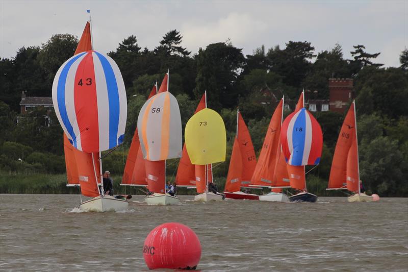 Squibs at Oulton Week photo copyright Karen Langston taken at Waveney & Oulton Broad Yacht Club and featuring the Squib class