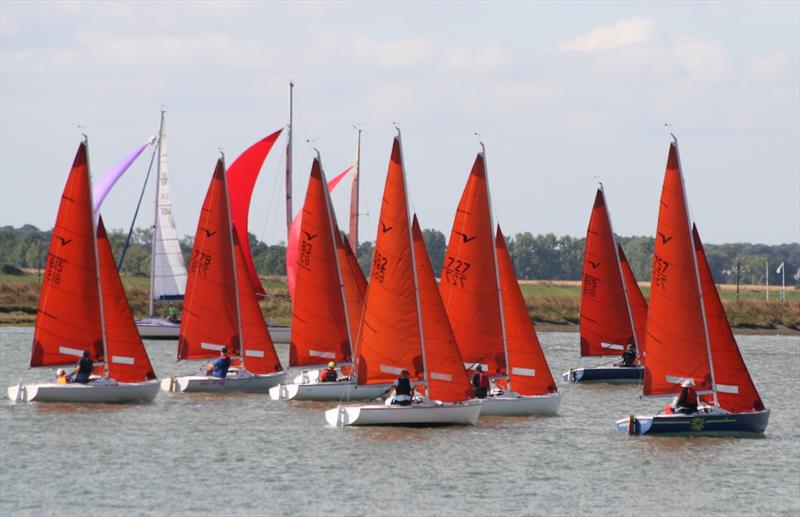 Opening days of Burnham Week 2016 photo copyright Sue Pelling taken at Royal Burnham Yacht Club and featuring the Squib class