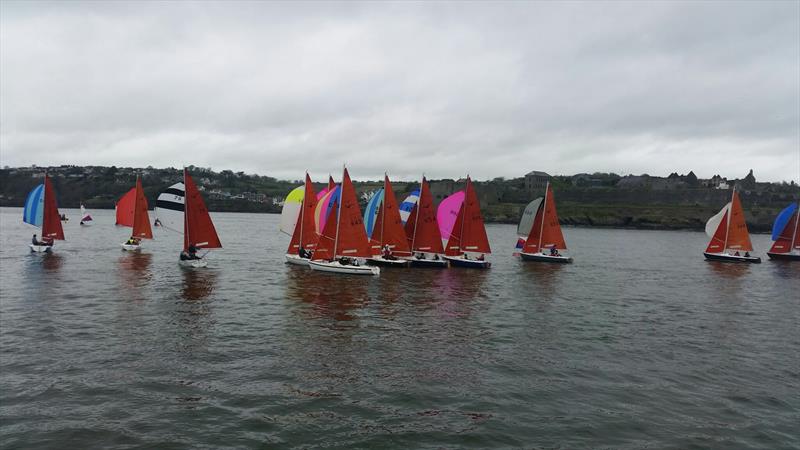 Kinsale Frostbite Series photo copyright Michele Kennelly taken at Kinsale Yacht Club and featuring the Squib class