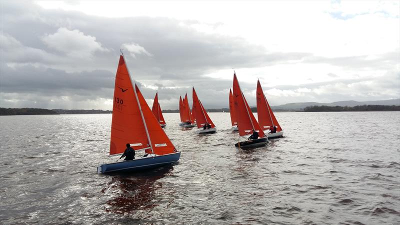 2017 Squib Irish Inland Championship at Lough Derg photo copyright Jeff Condell taken at Lough Derg Yacht Club and featuring the Squib class