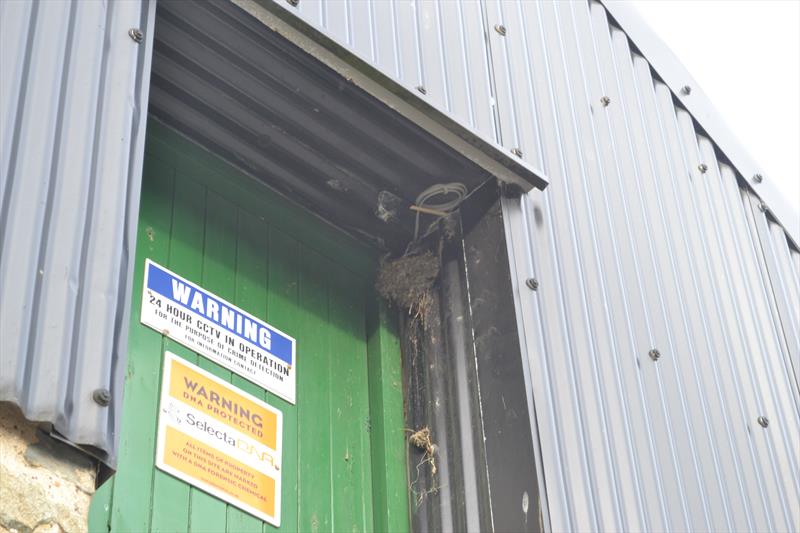 A swallow nest causes delay on Solva Sailing Club's new changing rooms are officially opened - photo © Helen Hughes