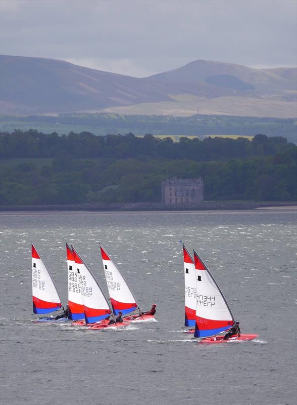 Topper Travellers at Dalgety Bay photo copyright Dougie Bell taken at Dalgety Bay Sailing Club and featuring the Topper class