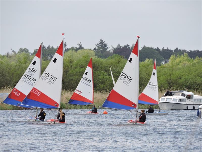 Single-Handed dinghies at Horning Sailing Club photo copyright Holly & Robert Hancock taken at Horning Sailing Club and featuring the Topper class