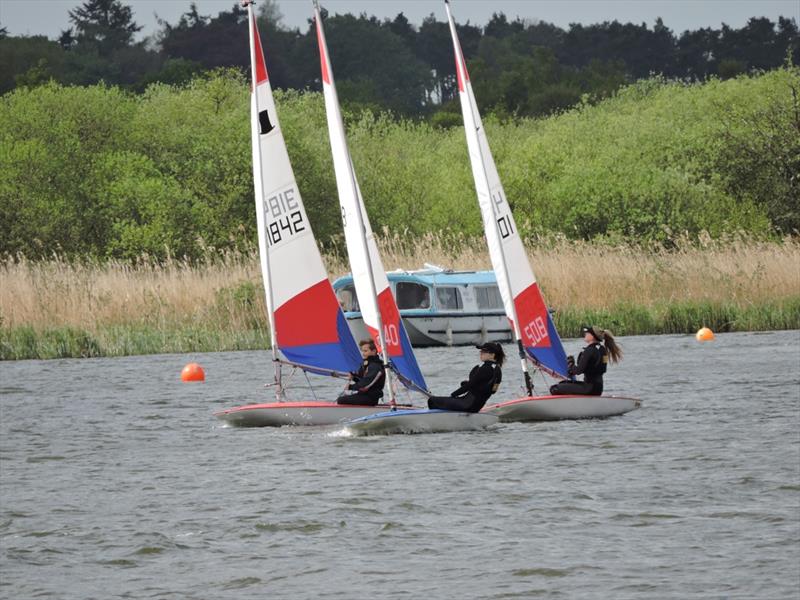 Single-Handed dinghies at Horning Sailing Club photo copyright Holly & Robert Hancock taken at Horning Sailing Club and featuring the Topper class
