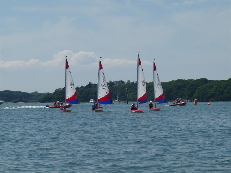 Toppers at Chichester photo copyright Jackie Day taken at Chichester Yacht Club and featuring the Topper class