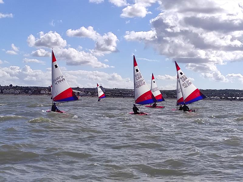 ITCA London and South East Topper Traveller Autumn Series at Whitstable photo copyright Oli Yates taken at Whitstable Yacht Club and featuring the Topper class
