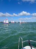 Rooster Southern Topper Traveller Series Event 1 at Hamble River © Shaun Murphy