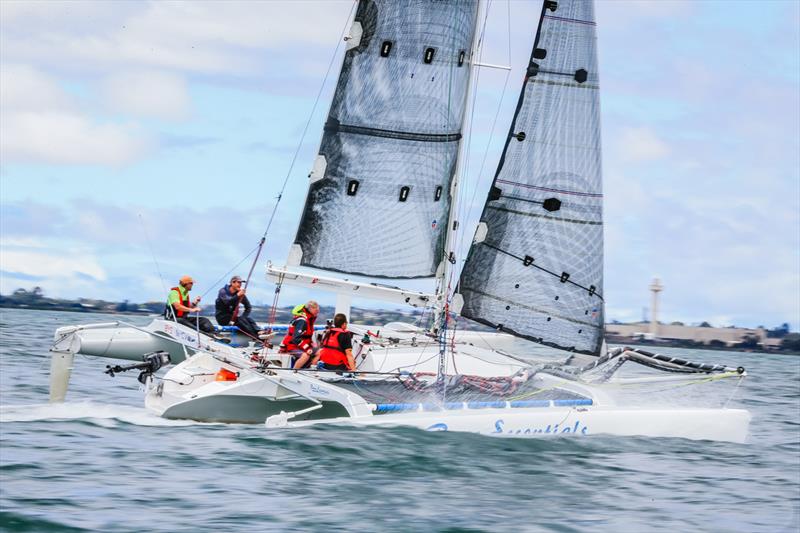 Bare Essentials on day 3 of the Festival of Sails photo copyright Craig Greenhill / Saltwater Images taken at Royal Geelong Yacht Club and featuring the Trimaran class