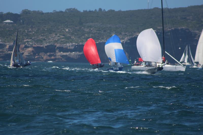 Sydney Sailmakers leads Geotherm and Little Bus on day 1 of the 12ft Skiff Interdominions photo copyright Vita Williams taken at Australian 18 Footers League and featuring the 12ft Skiff class