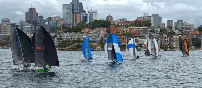 Down the run during the 12ft Skiff 2024 NSW Sprint Championship on Sydney Harbour - photo © Grant Casey