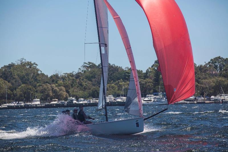 Alex Landwehr finished in seventh place today, not as confident as he was in lighter conditions on day 1 of the Schweppes Viper Worlds photo copyright Bernie Kaaks taken at South of Perth Yacht Club and featuring the Viper 640 class
