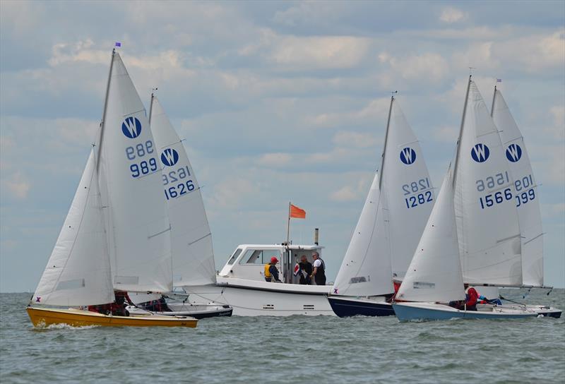 Wanderers at Whitstable photo copyright Alex Cheshire taken at Whitstable Yacht Club and featuring the Wanderer class