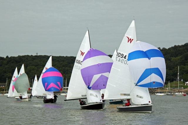 The Wayfarer class look forward to 2021 photo copyright Mike Spurgin taken at Medway Yacht Club and featuring the Wayfarer class