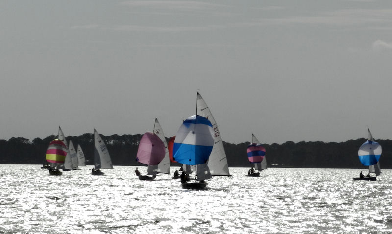 Wayfarer North American Midwinter Championships in Florida photo copyright Trevor Fisher taken at Lake Eustis Sailing Club and featuring the Wayfarer class