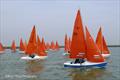 Squibs sailing during the 2023 edition of the Squib Gold Cup
