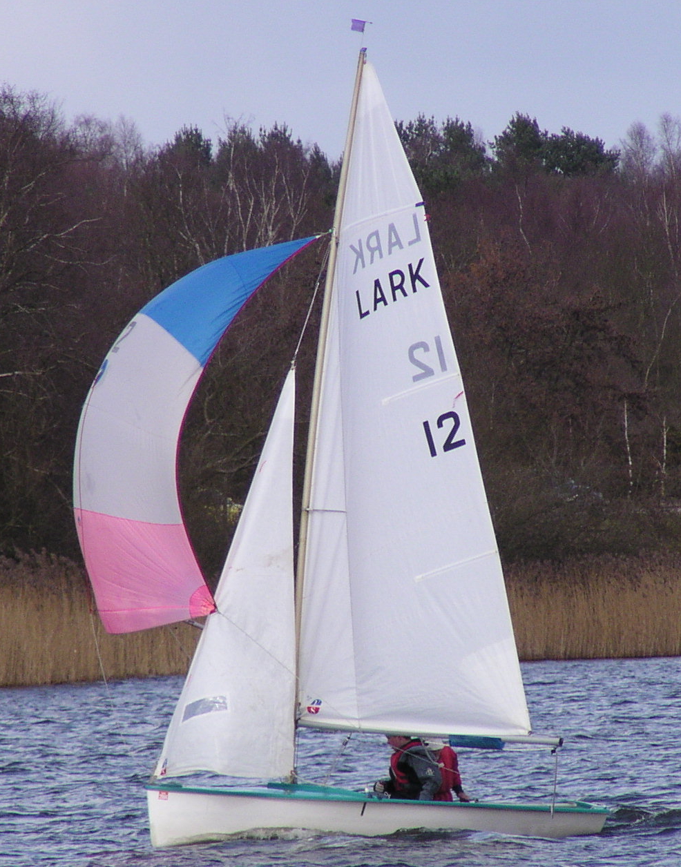 Lark 12