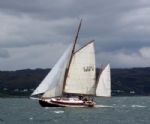 yacht race today