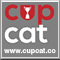 Cup Cat