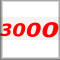 3000