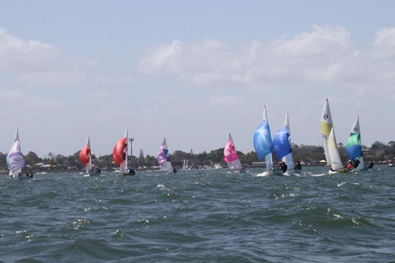 The Chasing Fleet - 42nd 125 Australian Championships  - photo © Humpybong Yacht Club