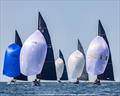 The 12 Metres in Modern Division sailing today on Rhode Island Sound © Stephen Cloutier