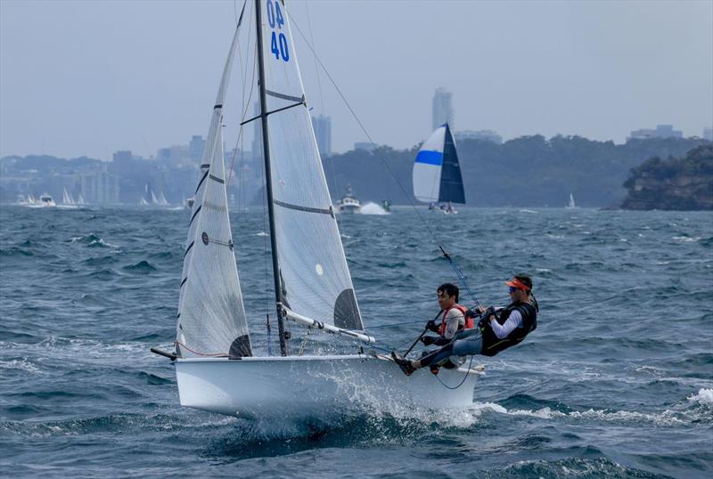 Zac Wyatt and Oliver Barret photo copyright Sail Media taken at Manly 16ft Skiff Sailing Club and featuring the 13ft Skiff class