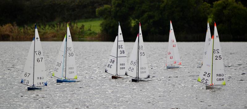 Cat Sails International One Metre Ulster Championships photo copyright Sue Brown / Cat Sails taken at Belfast Waterworks Model Boat Club and featuring the One Metre class
