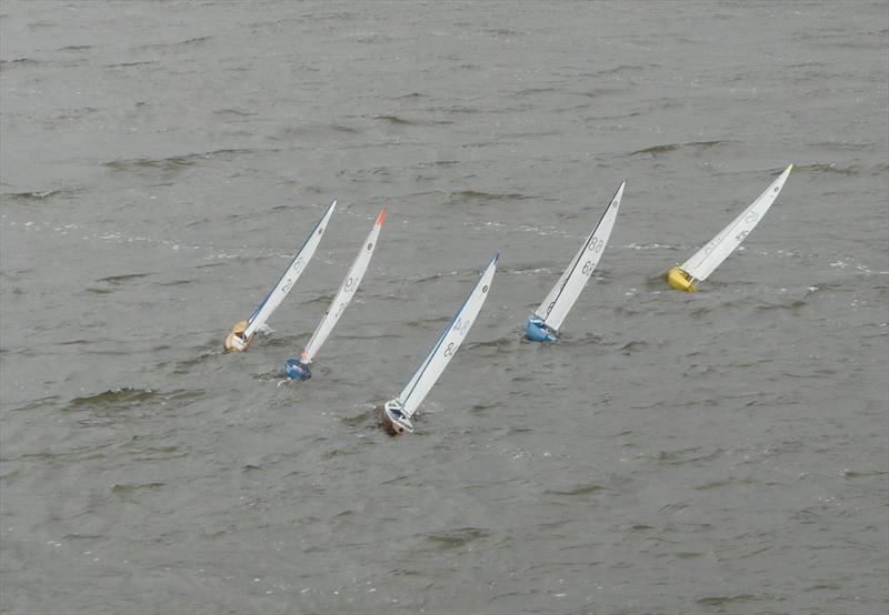 Scottish District IOM Travellers 1 at Forfar Loch photo copyright Ian Dundas taken at  and featuring the One Metre class