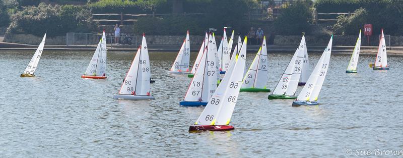 2019 UK IOM Nationals at Eastbourne & District Model Yacht Club photo copyright Sue Brown / Catsails taken at Eastbourne & District Model Yacht Club and featuring the One Metre class