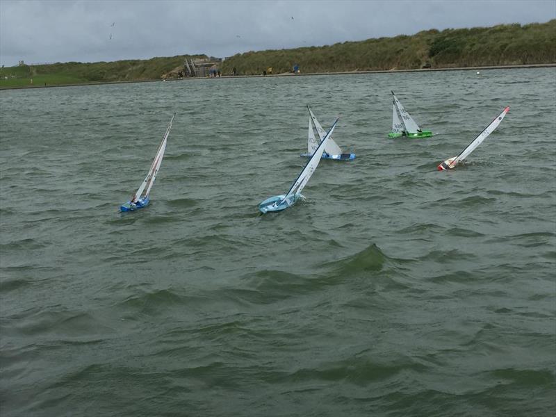 A blustery Fleetwood Lake for the One Metre class racing photo copyright John Taylor taken at Fleetwood Model Yacht Club and featuring the One Metre class