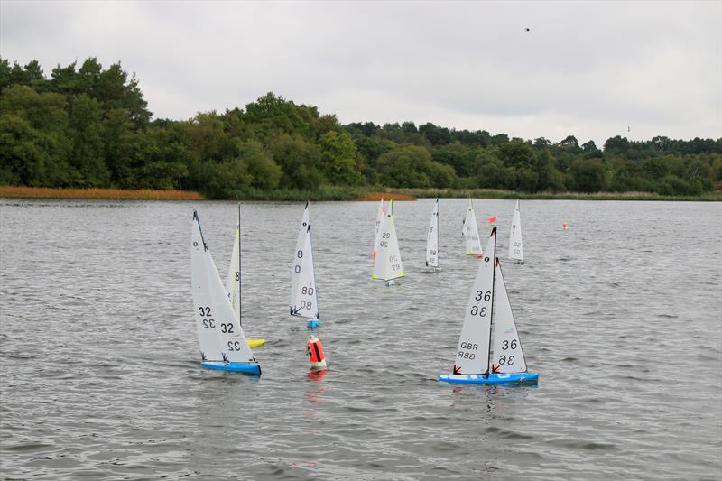 IOM (One Metre) open meeting at Frensham Pond photo copyright Tony Schlaeppi taken at Frensham Pond Sailing Club and featuring the One Metre class