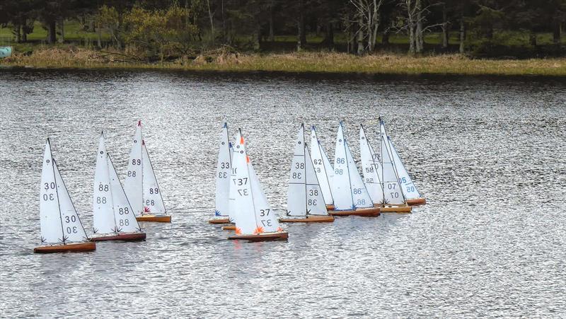 Scottish District 2022 Wooden Hull IOM Championship photo copyright David Williams taken at  and featuring the One Metre class