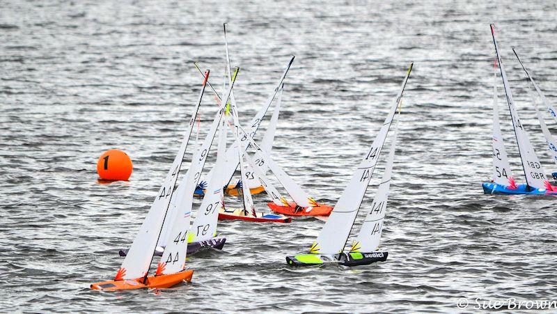 2022 UK IOM National Championship at Castle Semple Loch photo copyright Sue Brown taken at Castle Semple Sailing Club and featuring the One Metre class