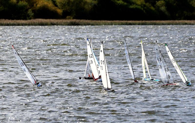 MYA Scottish IOM Travellers at Forfar Loch photo copyright Brian Summers taken at  and featuring the One Metre class