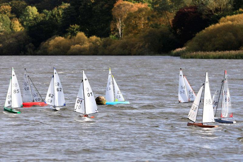 MYA Scottish IOM Travellers at Forfar Loch photo copyright Brian Summers taken at  and featuring the One Metre class